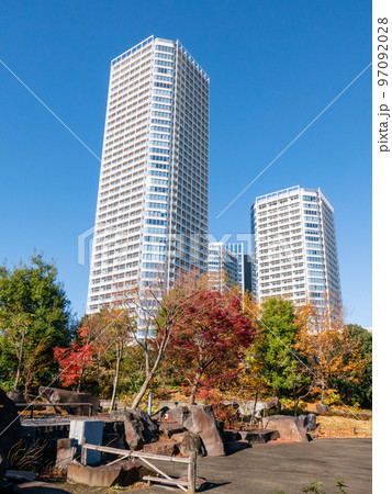 秋の二子玉川公園(縦) 秋の二子玉川公園(縦) 97092028