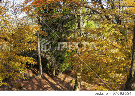 高取城跡の紅葉／奈良県【国指定史跡・日本三大山城・日本百名城】 97092654