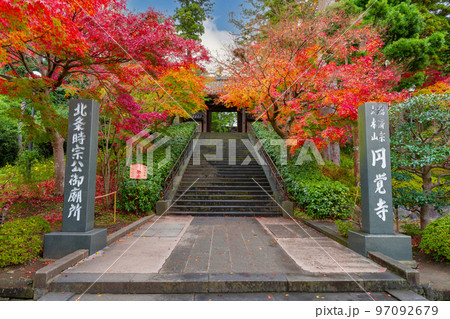 神奈川県鎌倉市　紅葉シーズンの円覚寺 97092679