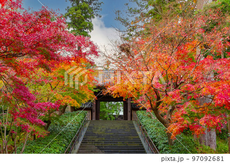 神奈川県鎌倉市 紅葉シーズンの円覚寺 神奈川県鎌倉市 紅葉シーズンの円覚寺 97092681