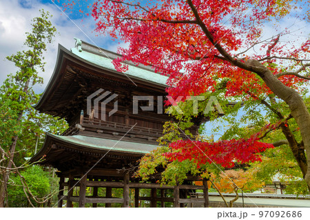 神奈川県鎌倉市　紅葉シーズンの円覚寺 97092686