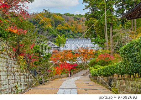 神奈川県鎌倉市 紅葉シーズンの円覚寺 神奈川県鎌倉市 紅葉シーズンの円覚寺 97092692