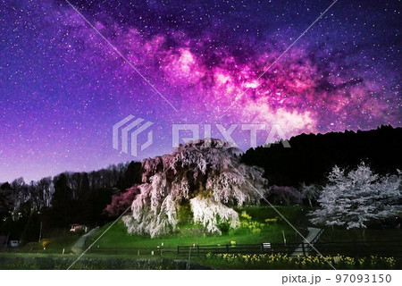 枝垂桜と天の川 97093150
