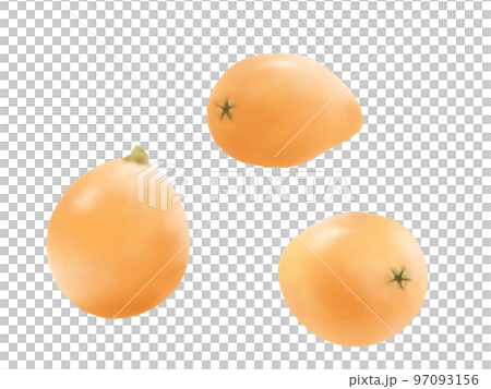 ビワの実のリアルな水彩イラストセット 97093156