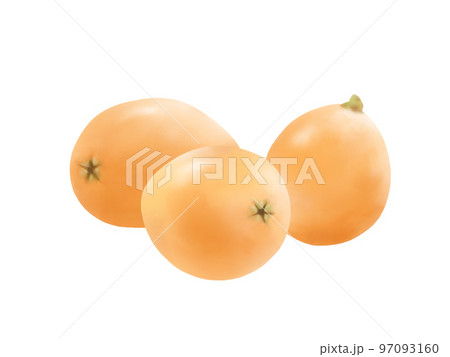 重なる三つのビワの実のリアルな水彩イラスト 97093160