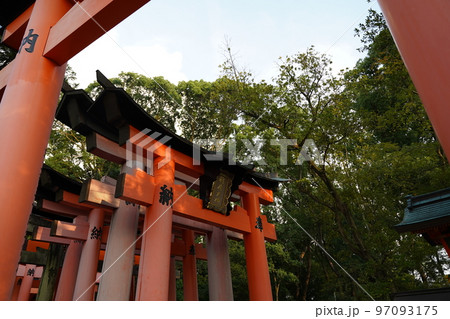 伏見稲荷大社、ふしみいなりたいしゃ、京都、伏見区、神社、名神大社、単立神社、 稲荷神社、稲荷山、本殿 97093175