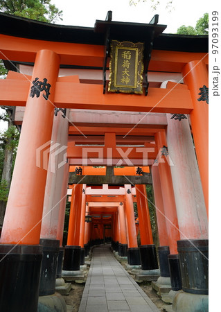 伏見稲荷大社、ふしみいなりたいしゃ、京都、伏見区、神社、名神大社、単立神社、 稲荷神社、稲荷山、本殿 伏見稲荷大社、ふしみいなりたいしゃ、京都、伏見区、神社、名神大社、単立神社、 稲荷神社、稲荷山、本殿 97093199