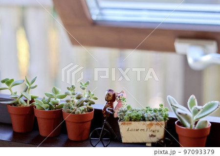 窓辺の景色　小さな木枠の窓に飾られた観葉植物　窓のある生活　癒やしの空間 97093379