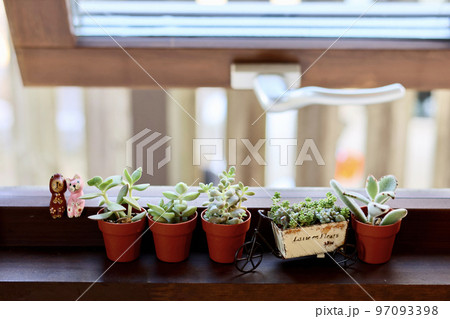 窓辺の景色　小さな木枠の窓に飾られた観葉植物　窓のある生活　癒やしの空間 97093398