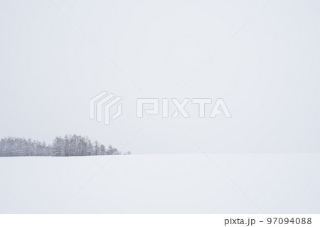 美瑛の丘　冬景色 97094088