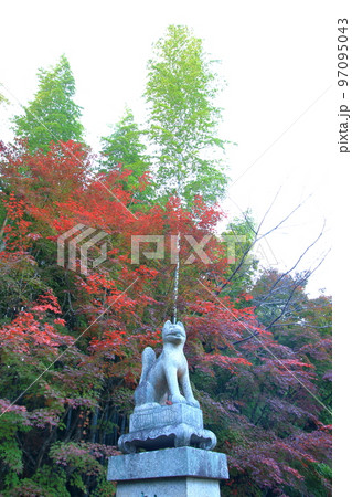 稲荷神社の狐像 97095043