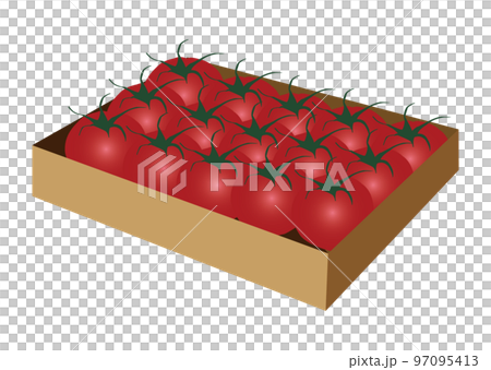 トマト トマト 97095413