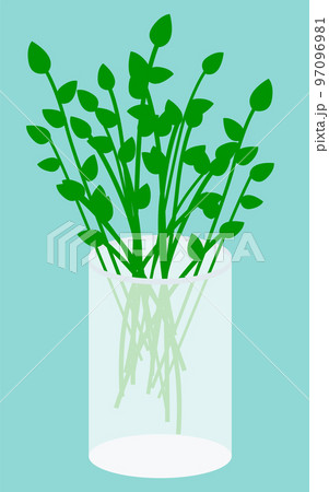 Plucked Plants in Vase, Bouquet for Decoration Plucked Plants in Vase, Bouquet for Decoration 97096981