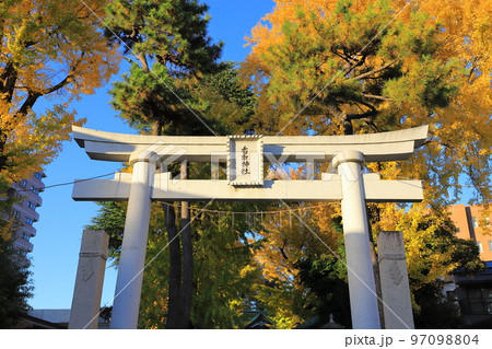 秋の亀有香取神社　東京都葛飾区亀有 97098804