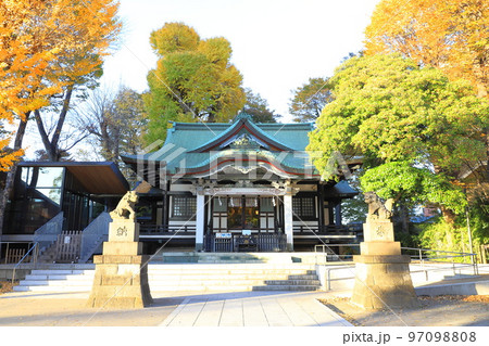 秋の亀有香取神社　東京都葛飾区亀有 97098808