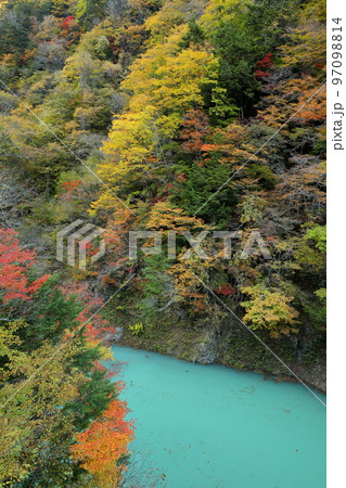 長野県大町市平　高瀬渓谷北葛沢の鮮やかなエメラルドグリーンの川面と川岸の紅葉 97098814