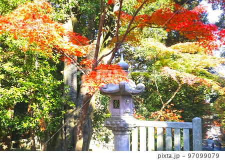 長岡京市の晩秋 長岡京市の晩秋 97099079