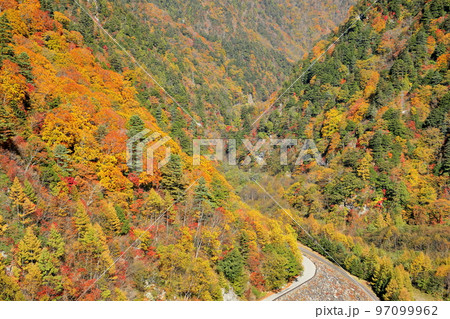 長野県大町市平 高瀬渓谷の高瀬ダム調整湖周辺の紅葉 長野県大町市平 高瀬渓谷の高瀬ダム調整湖周辺の紅葉 97099962