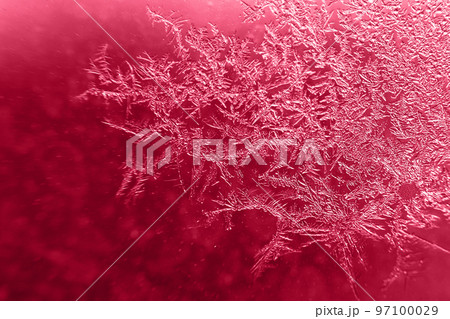 snow pattern on the glass from frost. viva magenta color of the year snow pattern on the glass from frost. viva magenta color of the year 97100029