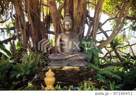 The Buddha statue seated under the big tree in Wat Rong Khun (White Temple) in Chiang Rai province of Thailand. 97100451