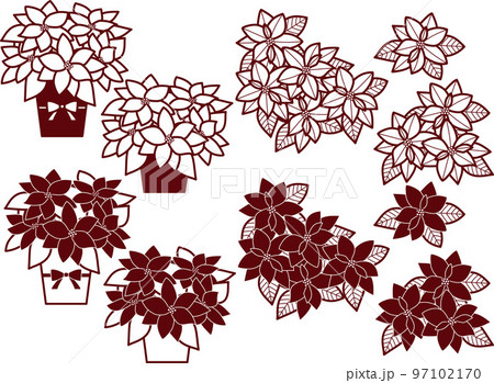 ポインセチアL ポインセチアL 97102170