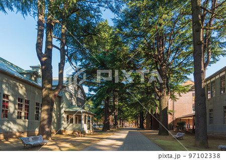 秋の長野県松本市内ぶらぶら散歩、あがたの森公園 97102338