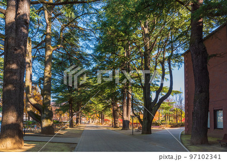 秋の長野県松本市内ぶらぶら散歩、あがたの森公園 97102341