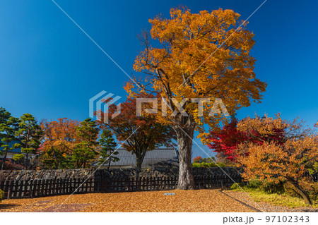 秋の長野県松本市内ぶらぶら散歩、国宝松本城 97102343