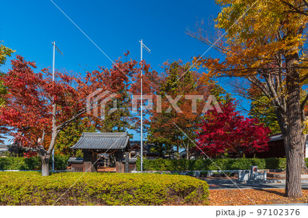 秋の長野県松本市内ぶらぶら散歩、松本神社 秋の長野県松本市内ぶらぶら散歩、松本神社 97102376