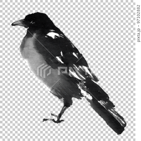 水墨畫的烏鴉 水墨畫的烏鴉 97102882