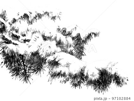水墨画技法で描いた雪が積もった大きな松の枝のイラスト素材 [97102884