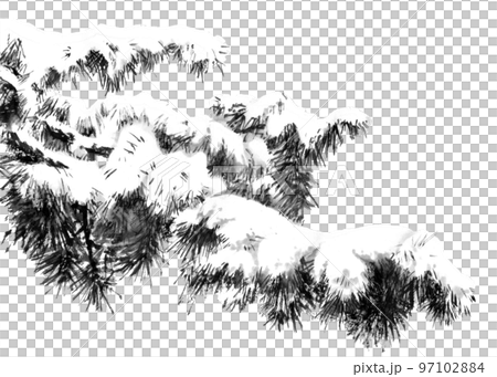 水墨画技法で描いた雪が積もった大きな松の枝 水墨画技法で描いた雪が積もった大きな松の枝 97102884