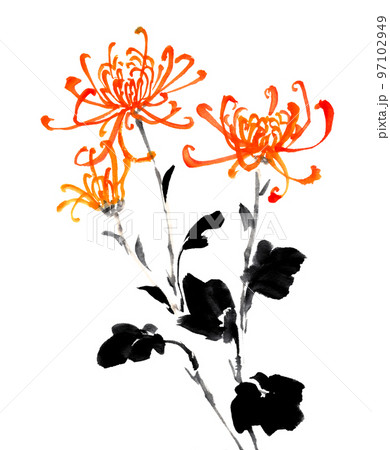 水墨画技法で描かれた管菊のイラスト素材 [97102949] - PIXTA