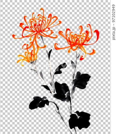 以水墨畫技法繪製的菊花 97102949