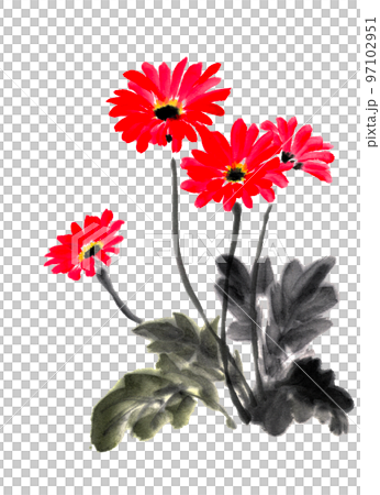 水墨画技法で描いたガーベラのイラスト素材 [97102951] - PIXTA