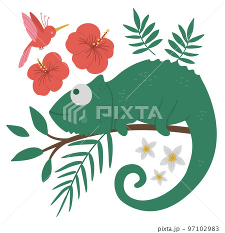 Vector cute chameleon on a tree brunch with leaves and flowers and paradise bird. Funny tropical exotic animal illustration. Bright flat picture for children. Jungle summer clip art Vector cute chameleon on a tree brunch with leaves and flowers and paradise bird. Funny tropical exotic animal illustration. Bright flat picture for children. Jungle summer clip art 97102983