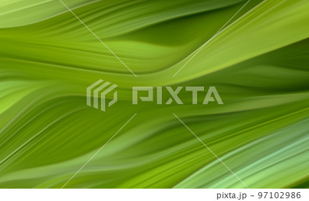 Abstract Natural Background Abstract Natural Background 97102986