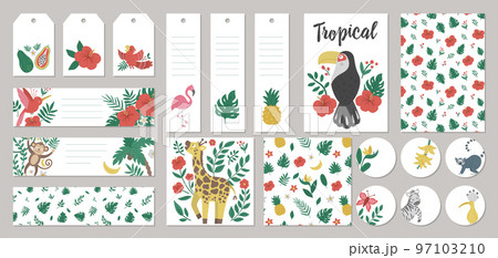 Set of vector summer gift tags, labels, pre-made designs, bookmarks with tropical animals, plants, flowers, fruit. Funny exotic card templates with cute jungle characters. 97103210