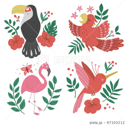 Vector set with cute compositions with exotic birds, leaves, flowers. Funny tropical animals and plants illustration for card design, poster or print. Jungle summer clip art for kids 97103212