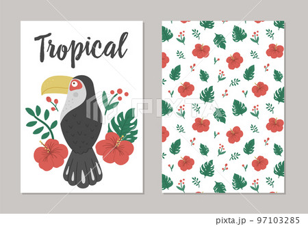 Set of vector summer pre-made designs with tropical bird, plants and flowers. Funny exotic gift card templates with cute jungle characters. Toucan with leaves and hibiscus flowers Set of vector summer pre-made designs with tropical bird, plants and flowers. Funny exotic gift card templates with cute jungle characters. Toucan with leaves and hibiscus flowers 97103285