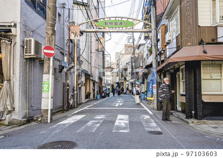 横浜市みなとみらいの都市風景　動物園通り 97103603