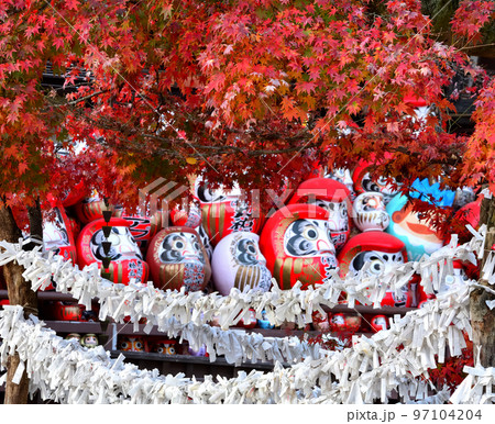 少林山達磨寺の霊符堂と紅葉 97104204