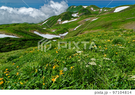 鳥海山・外輪山の高山植物群落と御浜方面の眺め 鳥海山・外輪山の高山植物群落と御浜方面の眺め 97104814