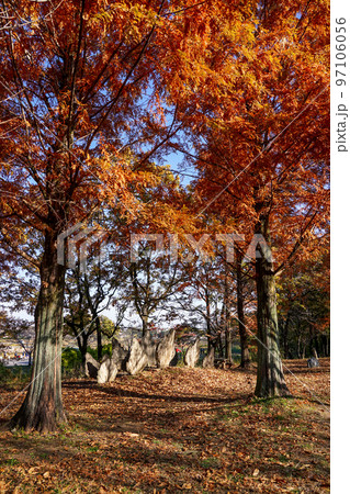 ステゴサウルス板骨の小径 阿須運動公園 古代広場(埼玉県飯能市) ステゴサウルス板骨の小径 阿須運動公園 古代広場(埼玉県飯能市) 97106056