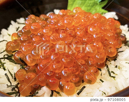 北海道グルメの定番 いくら丼 北海道グルメの定番 いくら丼 97108005