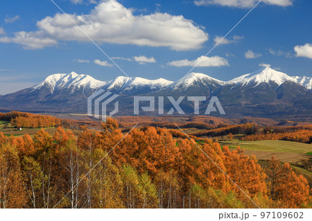 【北海道美瑛町】青空と十勝岳連邦と丘の紅葉 【北海道美瑛町】青空と十勝岳連邦と丘の紅葉 97109602