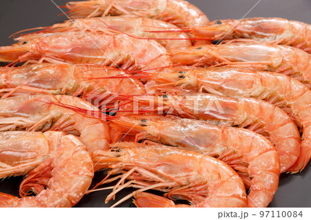 黒背景のアルゼンチン天然赤海老 97110084