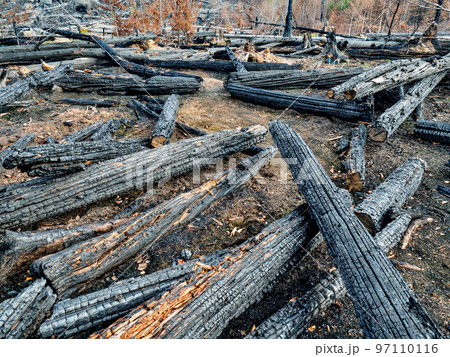 Firefighters cut down trees to fight the fire more effectively. T 97110116