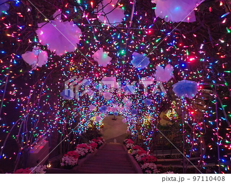 花のゲート 97110408