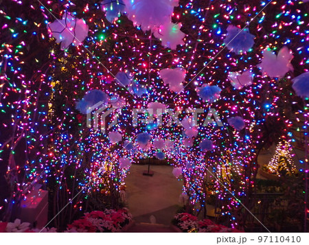 花のゲート 97110410